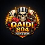 Qaidi 804 game