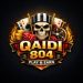 Qaidi 804 game